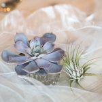 Succulents and airplants | Journey to the Centre of the Earth | modern ethereal winter styled bridal shoot by Hanami Dream | agate | marble | airplants | tulle | pale blue | gold | Oxleaze Barn | Gloucestershire | October 2017 | Photography by Squib Photography www.squibphotography.co.uk