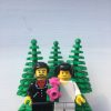 Changes in marriage law for outdoor weddings outdoor wedding marriage laws blog post | lego couple by trees | Hanami Dream | wedding inspiration