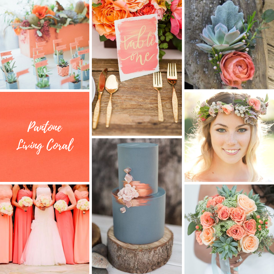 Image result for living coral color palette