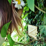 Alice and fairy door