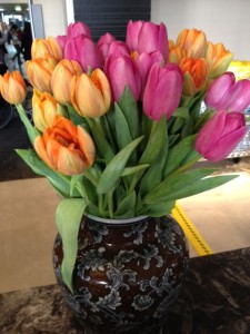 Tulips from Amsterdam