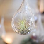Green airplant in glass bauble | Journey to the Centre of the Earth | modern ethereal winter styled bridal shoot by Hanami Dream | agate | marble | airplants | tulle | pale blue | gold | Oxleaze Barn | Gloucestershire | October 2017 | Photography by Squib Photography www.squibphotography.co.uk
