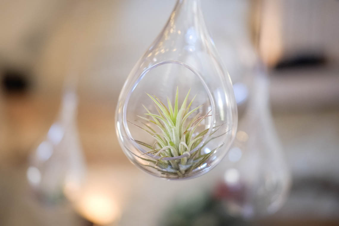 Green airplant in glass bauble | Journey to the Centre of the Earth | modern ethereal winter styled bridal shoot by Hanami Dream | agate | marble | airplants | tulle | pale blue | gold | Oxleaze Barn | Gloucestershire | October 2017 | Photography by Squib Photography www.squibphotography.co.uk