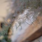 Close up of asparagus fern | Journey to the Centre of the Earth | modern ethereal winter styled bridal shoot by Hanami Dream | agate | marble | airplants | tulle | pale blue | gold | Oxleaze Barn | Gloucestershire | October 2017 | Photography by Squib Photography www.squibphotography.co.uk